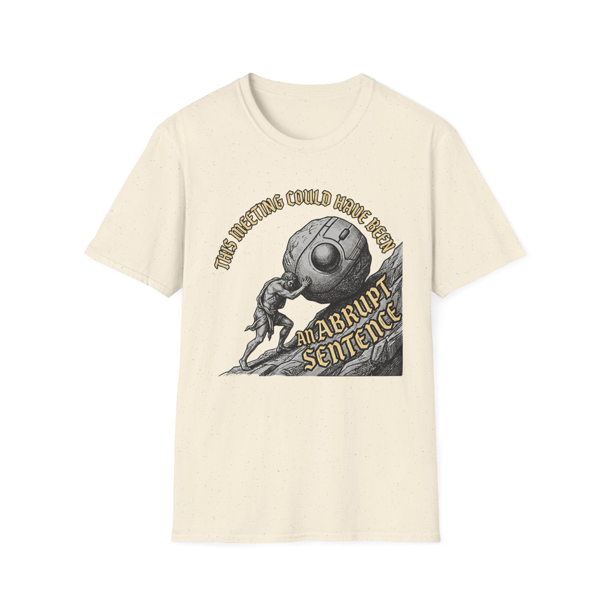 This Meeting Could Have Been an Abrupt Sentance T-Shirt