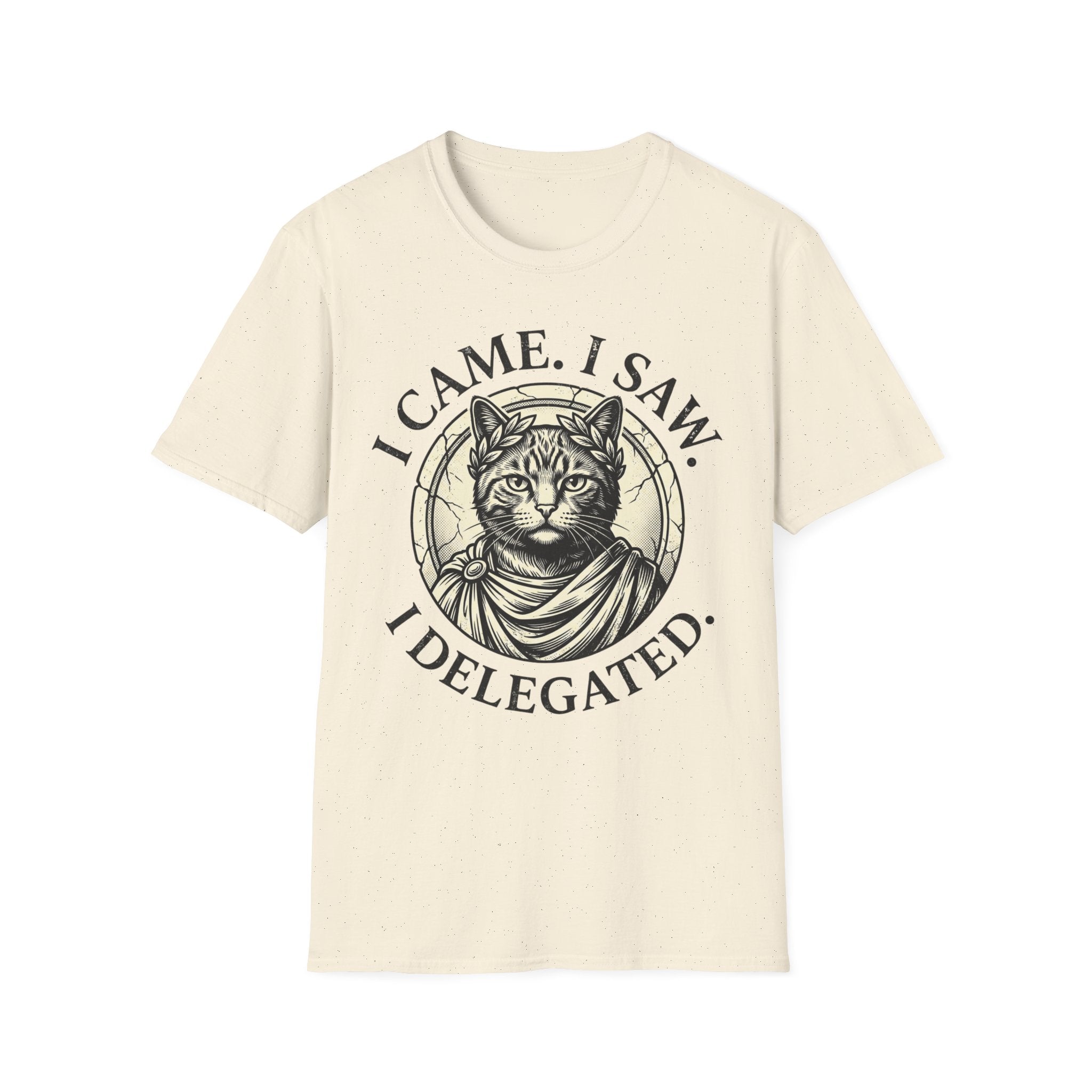 I Came. I Saw. I Delegated. T-Shirt